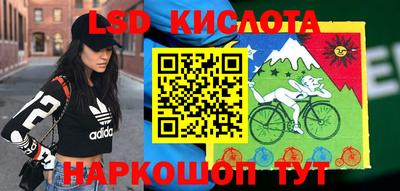 гашик Шебекино